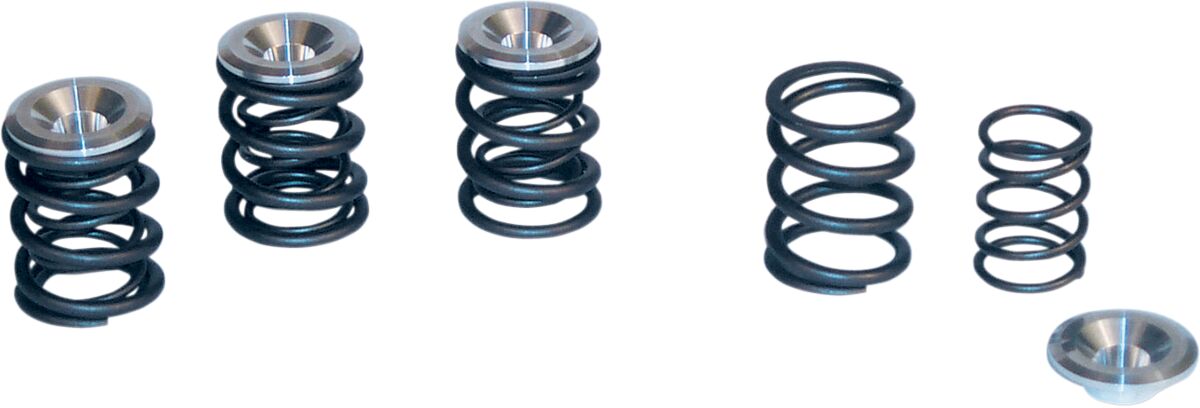 BT VLV SPR KIT 48-84