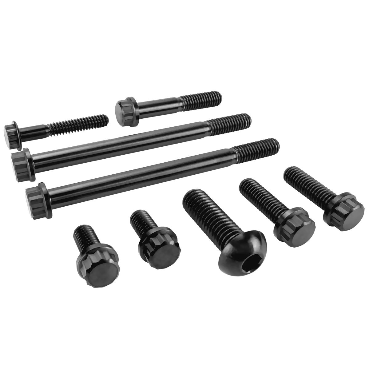 Performance 12 Point Titanium Engine Bolt Kit for Harley-Davidson Revolution Max 1250 - Race Black - image 3