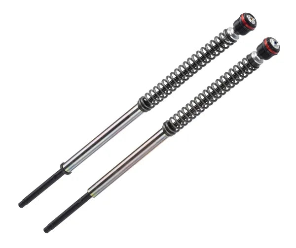 Bitubo JBH12 Series Fork Cartridges - Dyna (2005 - 2017)